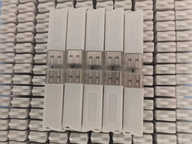 Nesting software Dongle